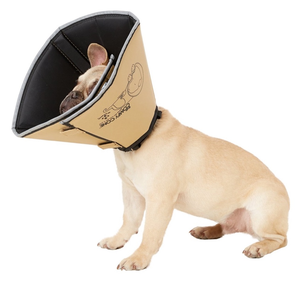 COPY - Dog e collar soft comfortable medium